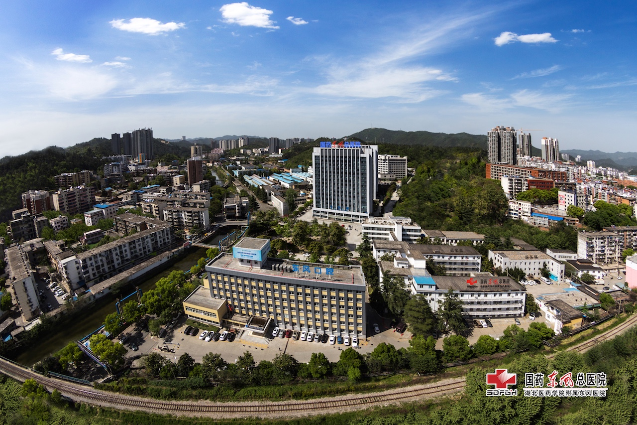 國藥東風總醫院全景.jpg